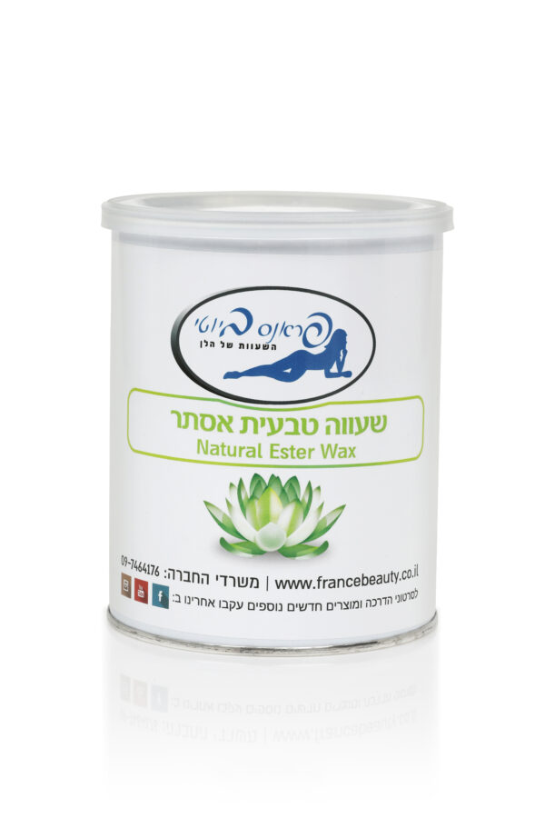 שעווה קרה אסתר